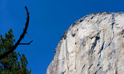 Yosemite National Pa