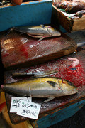Vis op de vismarkt v